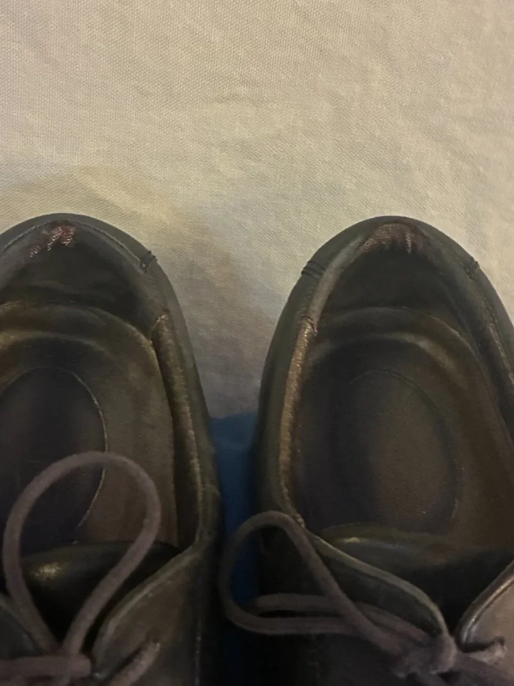 Rockport shoes mens